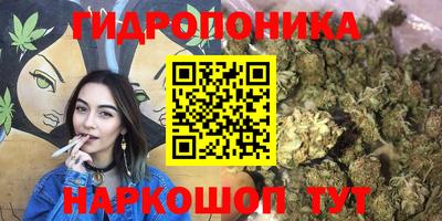 гидра Донецк