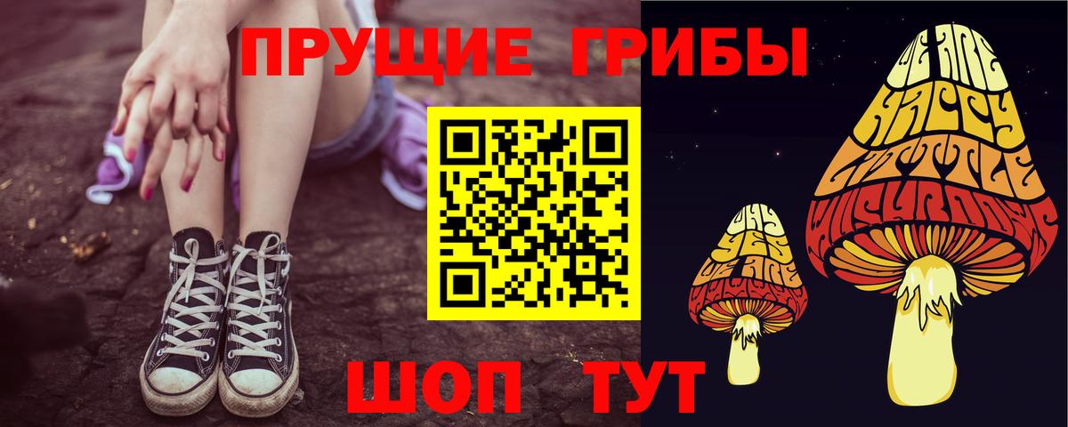 Дербент  сколько стоит  Вход с VPN  Псилоцибиновые грибы GOLDEN TEACHER  Псилоцибиновые грибы Magic Shrooms 