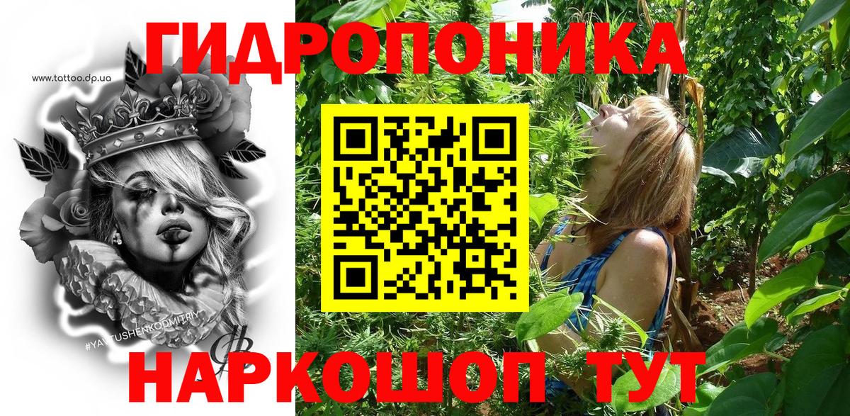 Бошки Шишки гибрид Дербент